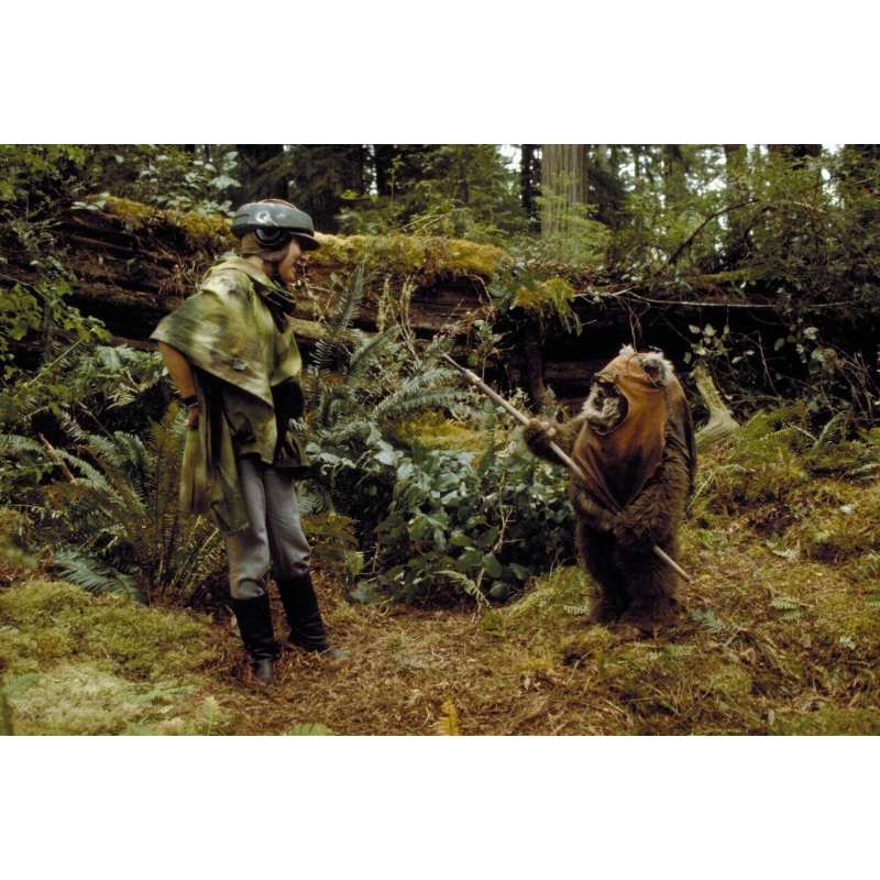 which star wars has ewoks